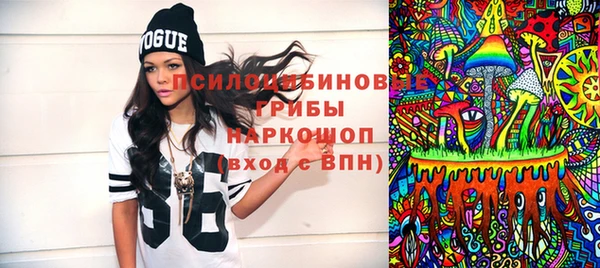 гашик Горно-Алтайск