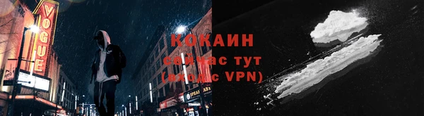 прущая мука Вяземский
