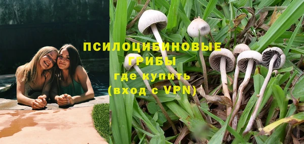 герыч Вязьма