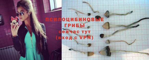 прущая мука Вяземский
